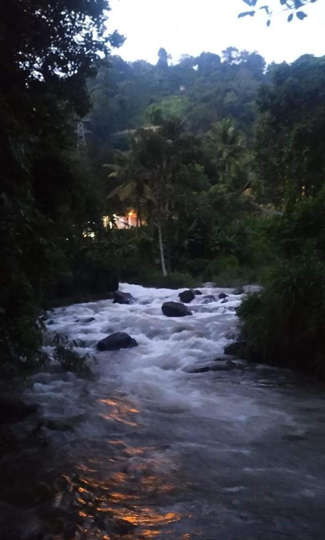 Munnar Lush Greens Exterior foto